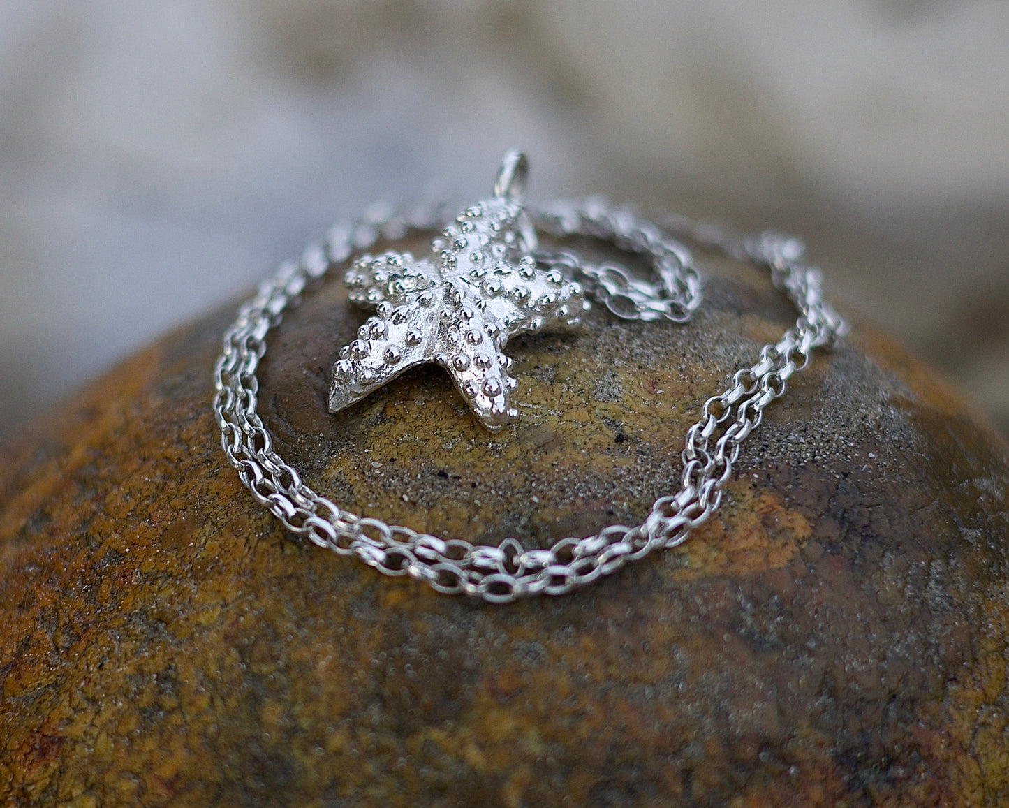 Asteroidea Silver Necklace