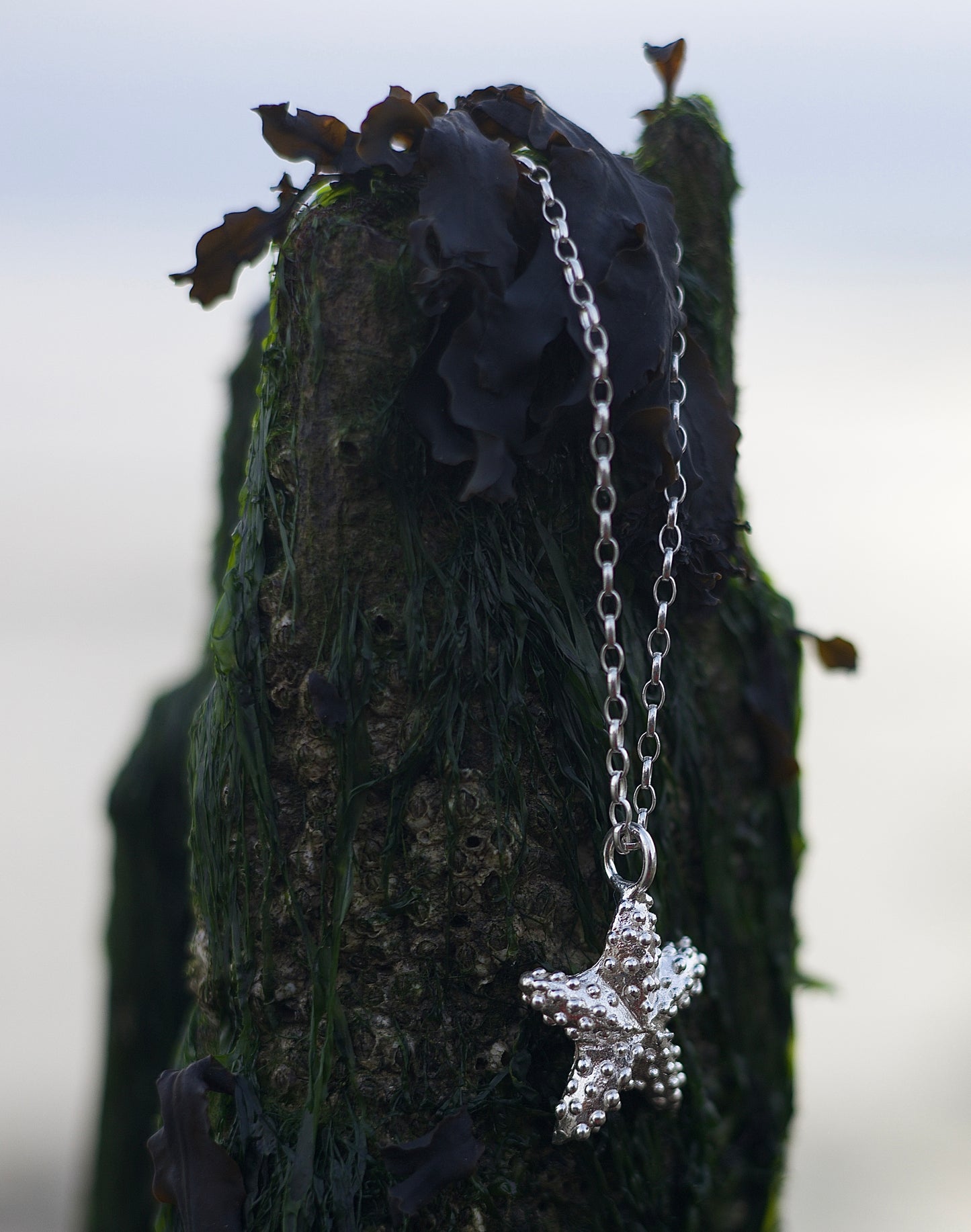Asteroidea Silver Necklace